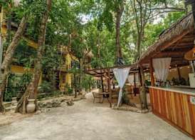 Terasu Riviera Maya Hotel & Spa Luxury Edition, en Xcaret 3