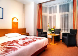 Owl Hotel 5