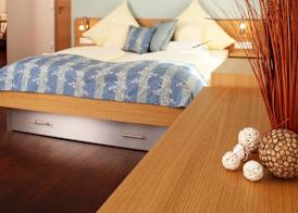 Adler Landhotel 5