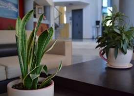 Hotel Palladion by Anayia All Inclusive Resorts 3