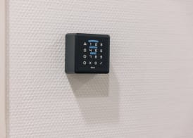 Homaris The Corner - Self-Check In 2
