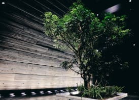 nol kyoto sanjo 3