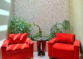 Hotel Casa Colonial Cozumel-Dog Friendly 5