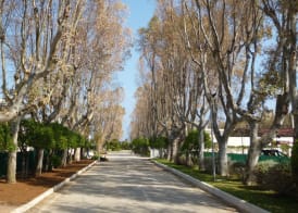 Baia Sangiorgio Hotel & Beach Club 4