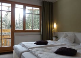 Ribno Alpine Hotel 5