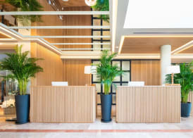 Hotel Eden Soller 3