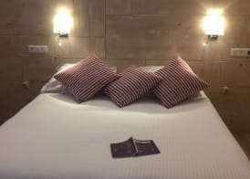 The Originals Boutique, Hôtel Alizé, Évian-les-Bains 4