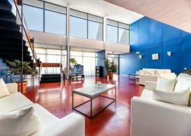 Hippocampus Hotel 2