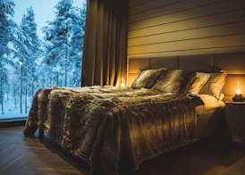 Invisible Forest Lodge & Spa 5