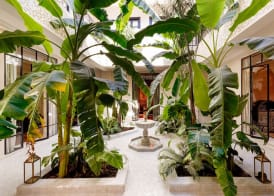 Riad Kheirredine 3