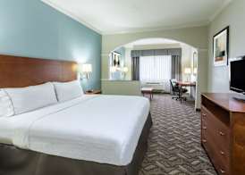 Holiday Inn Express & Suites LAKE CHARLES by IHG 4