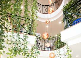 Hotel Boutique Calas de Alicante 5