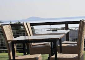 Aristotelis 5