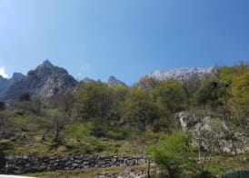 Hotel Garganta del Cares 5