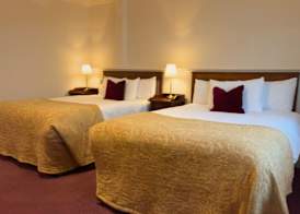 Arbutus Hotel 4
