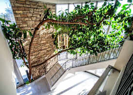 LYFE INN & SUITES by AGA - Beverly Hills 4
