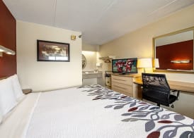 Red Roof Inn Albany Airport 3