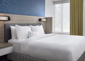 SpringHill Suites by Marriott Tuckahoe Westchester County 5