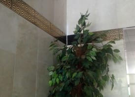 Estudio Ally 3
