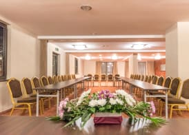 Lion Hotel Borovets 3