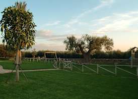 Masseria Bosco 5