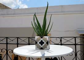 Argonauta Hotel 5
