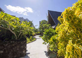 Oa Oa Lodge 2