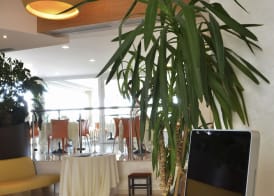 Grand Hotel Olimpo 3
