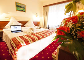 Hotel Prahova Plaza 3