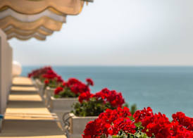 Hotel Viña del Mar Pineta 4