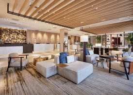 The Westin Grand Frankfurt 2