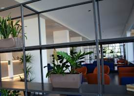 Hotel Palazzo Caveja 5