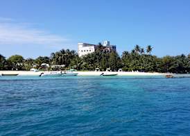 Season Paradise 2