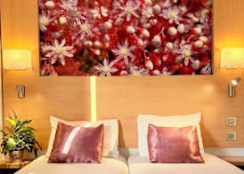 Fasthôtel Orléans Sud Zénith 4