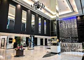Radisson Blu Hotel New Delhi Paschim Vihar 2