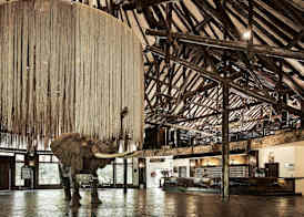 Safari Park Hotel 2