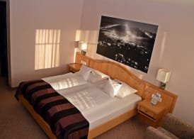 Best Western Plus Hotel Willingen 5