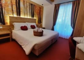 Hotel des Alpes 5