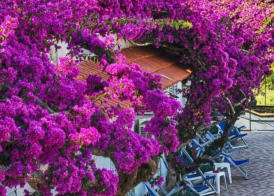 Hotel Parco Cartaromana 4