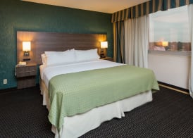 Holiday Inn DES MOINES DTWN - MERCY AREA by IHG 4