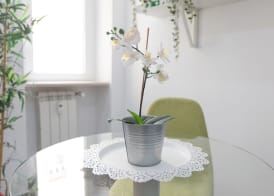 247 Luxury Rooms Trastevere 4