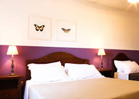 Agriturismo Boschi di Montecalvi 4