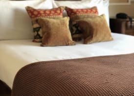 The Falcon Hotel 3