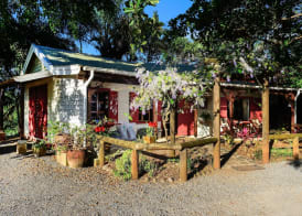 La Vieille Cheminée, Tropical Farm & Eco-Lodges 5
