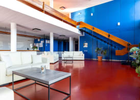Hippocampus Hotel 4