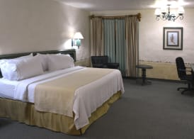 Holiday Inn Express MORELIA by IHG 4