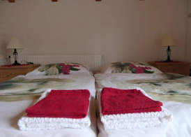 Apartments and rooms Brunko 5