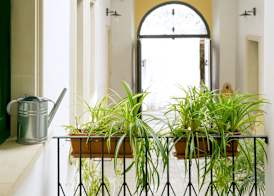 B&B Dimora San Vincenzo 3