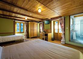 Mirtillo Alpino Casa Vacanze 3