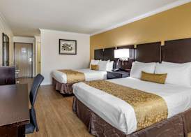Best Western Plus South Bay Hotel 5